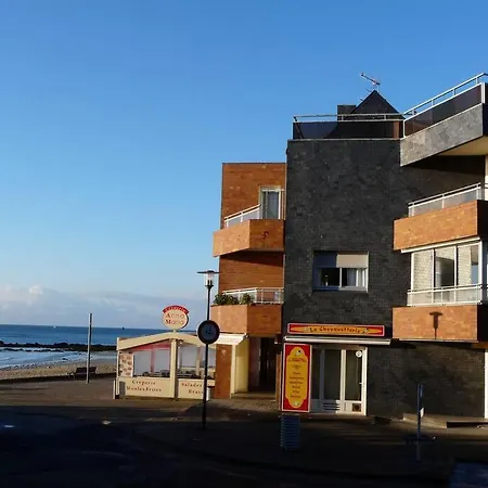 Face A La De 33m2 Avec Terrasse Et Wifi 라모르플라주